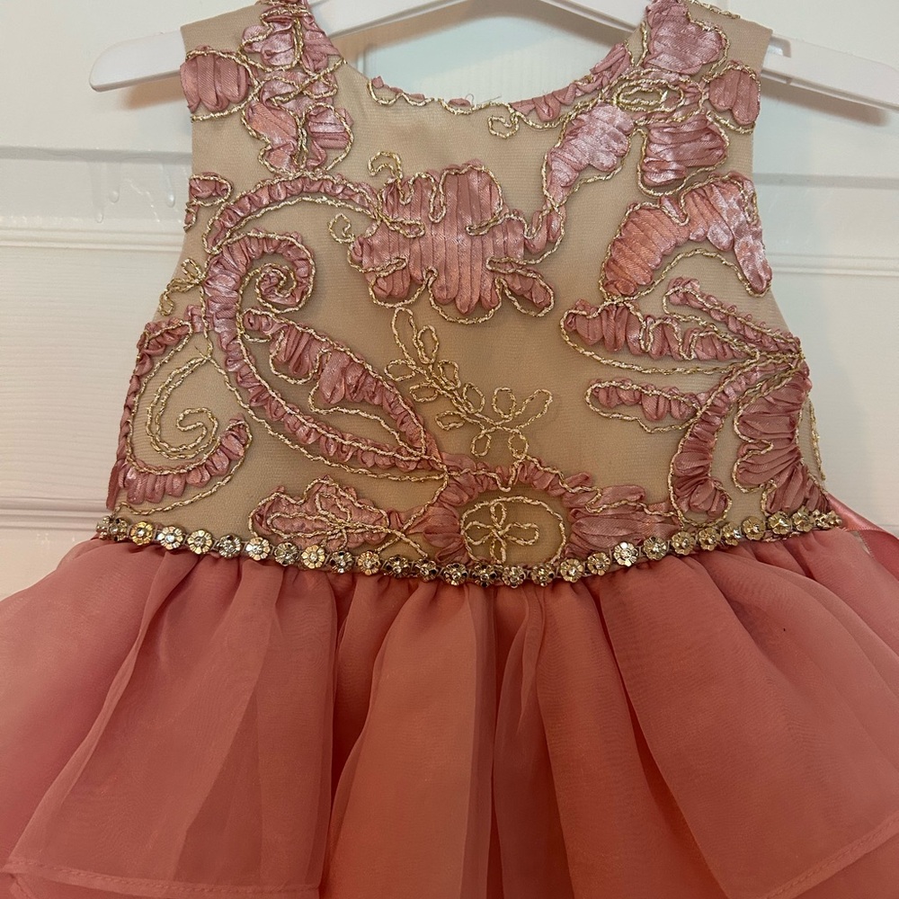Rare Editions Pink and Gold Formal Kids Dress